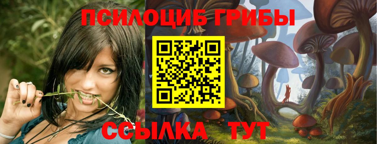 Псилоцибиновые грибы Psilocybine cubensis  Псилоцибиновые грибы Psilocybe  Югорск  Вход с VPN 